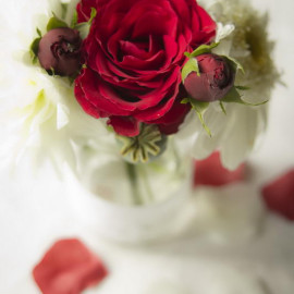 377_IMG_7620
